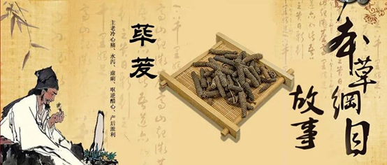 经典三级视频在线观看 香精与香料(102)-荜茇