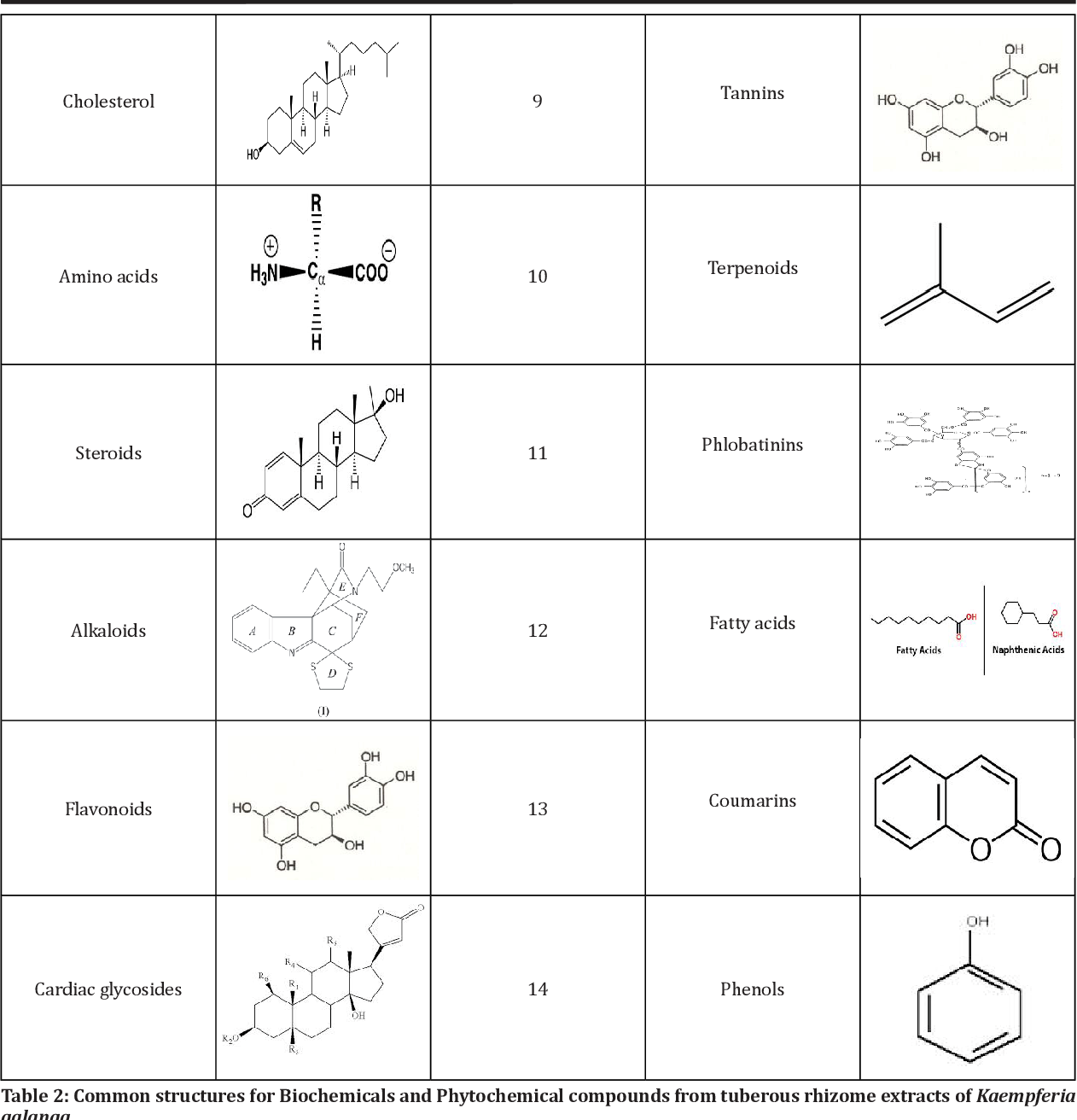 精品国产美女福领在线 香精与香料(103)—山奈