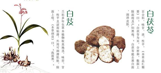 经典三级视频在线观看 香精与香料(105)—白芨