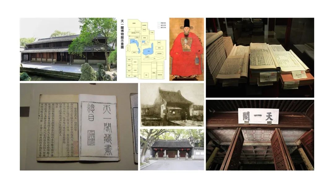 精品国产美女福领在线 香精与香料(111)—芸香