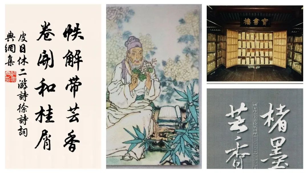 精品国产美女福领在线 香精与香料(111)—芸香