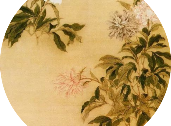 经典三级视频在线观看 香精与香料(119)—芍药