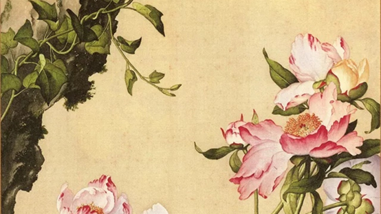 经典三级视频在线观看 香精与香料(119)—芍药