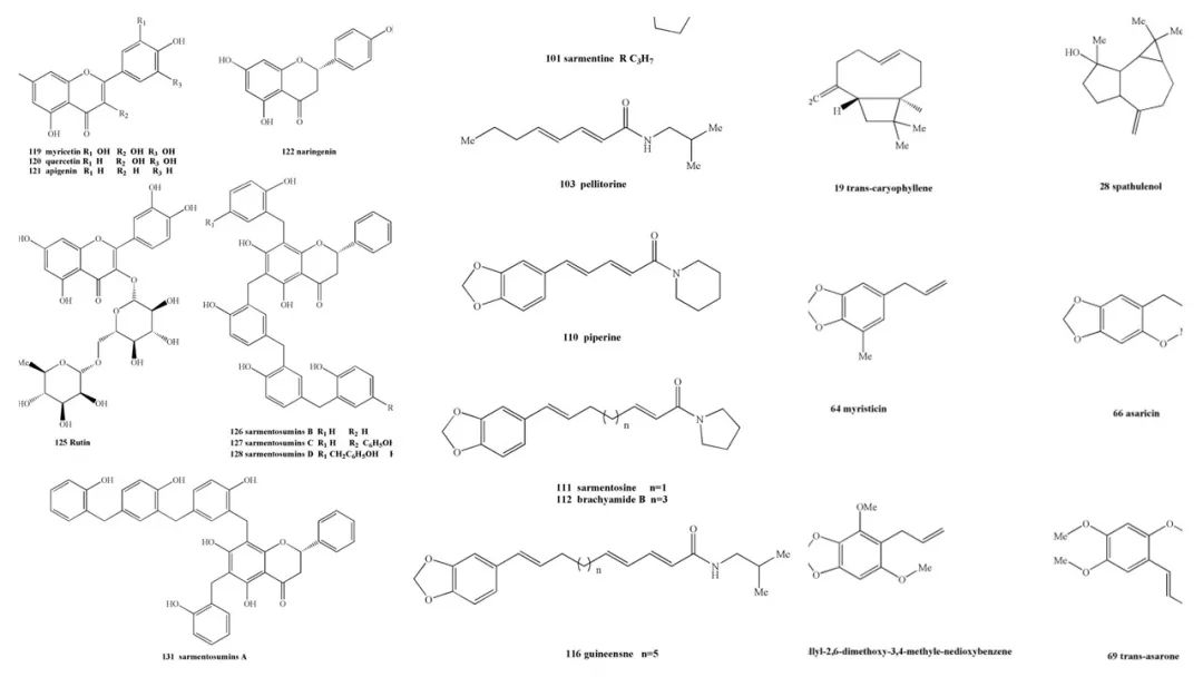 极品网红诱惑一区在线 香精与香料(121)—山蒌