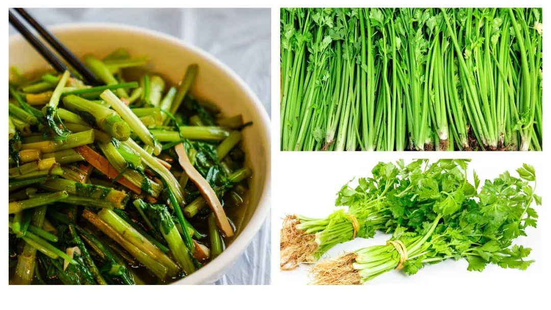 香精与香料(133)—旱芹(Apium graveolens)