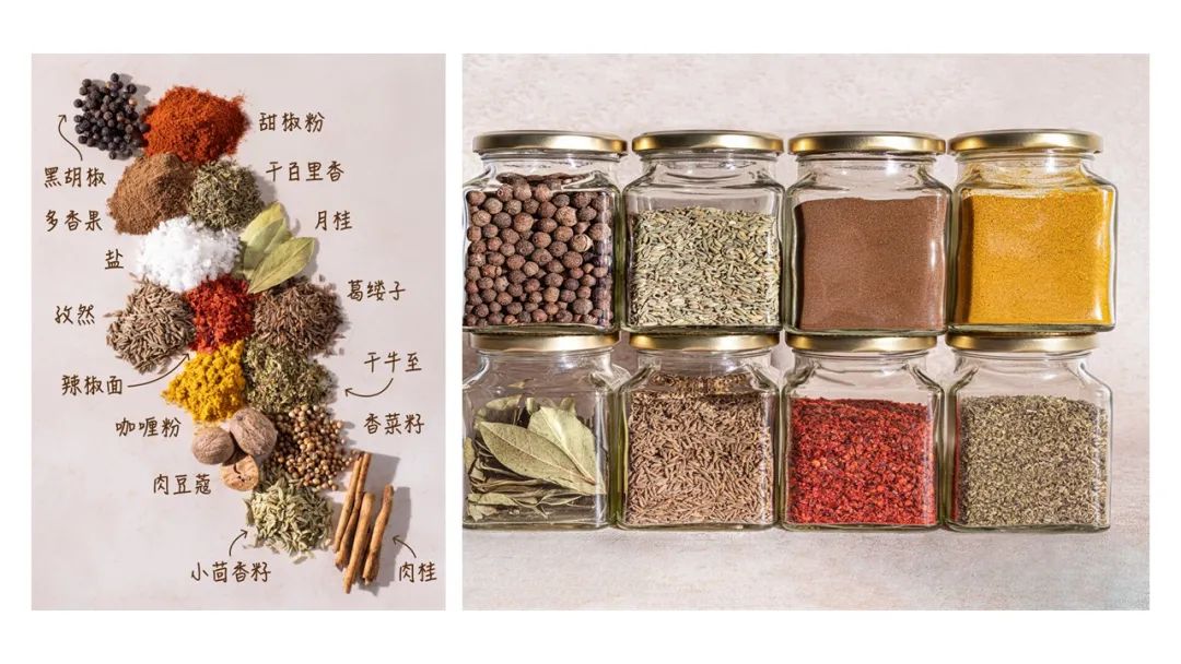 精品国产美女福领在线 香精与香料(134)—葛缕子(Carum carvi)