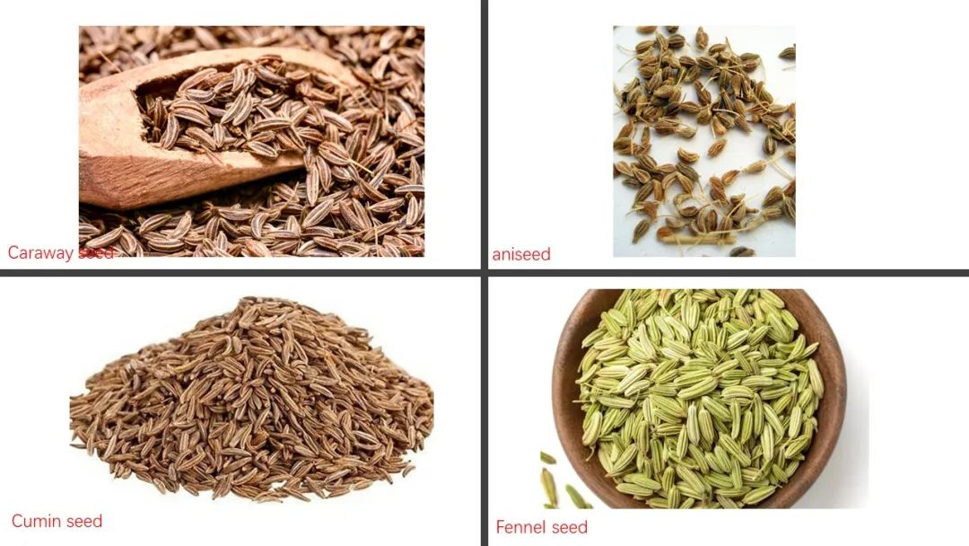 极品网红诱惑一区在线 香精与香料(139)—茴芹Pimpinella anisum