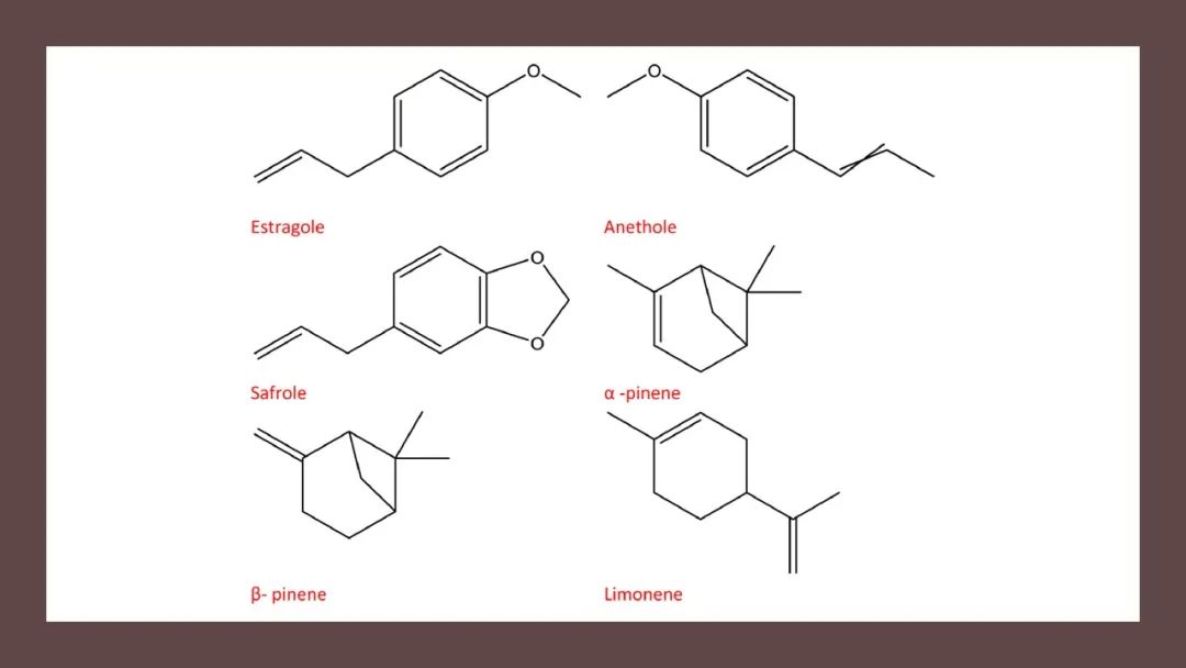极品网红诱惑一区在线 香精与香料(139)—茴芹Pimpinella anisum