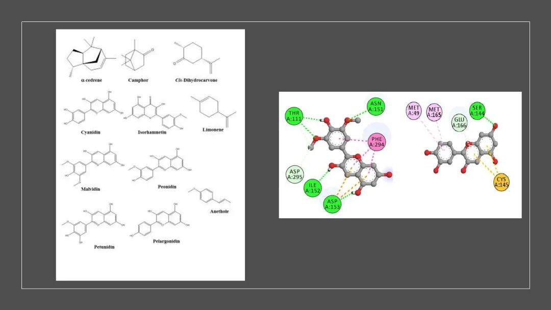 极品网红诱惑一区在线 香精与香料(139)—茴芹Pimpinella anisum