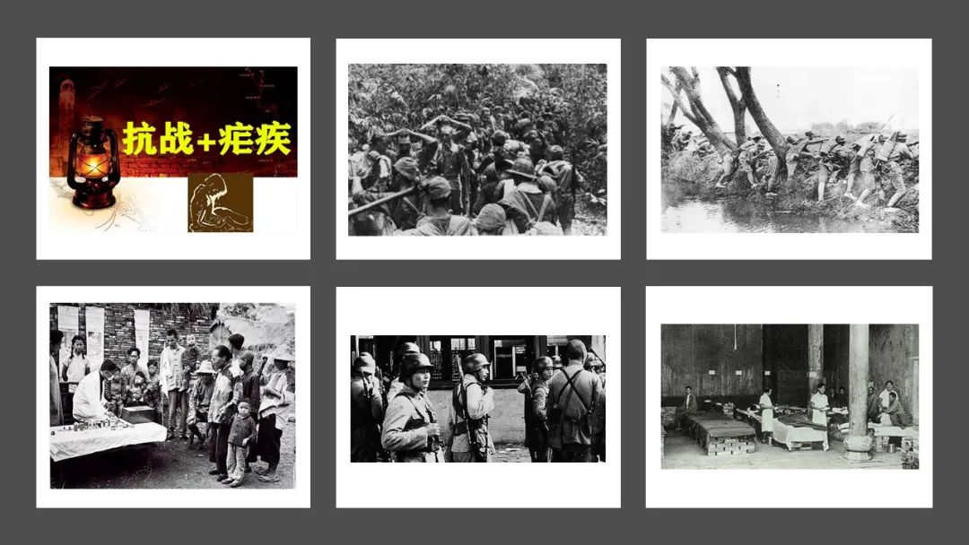 精品国产美女福领在线 香精与香料(142)—青蒿