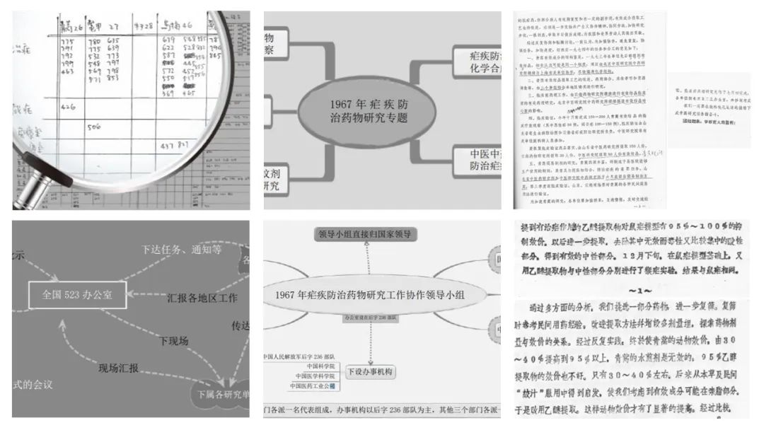 精品国产美女福领在线 香精与香料(142)—青蒿