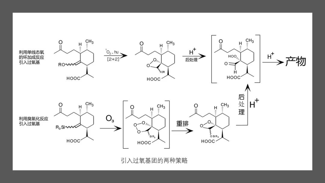 精品国产美女福领在线 香精与香料(142)—青蒿