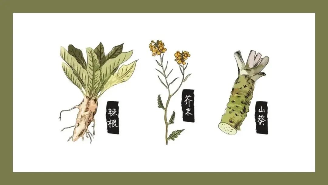 极品网红诱惑一区在线 香精与香料(147)—芥末