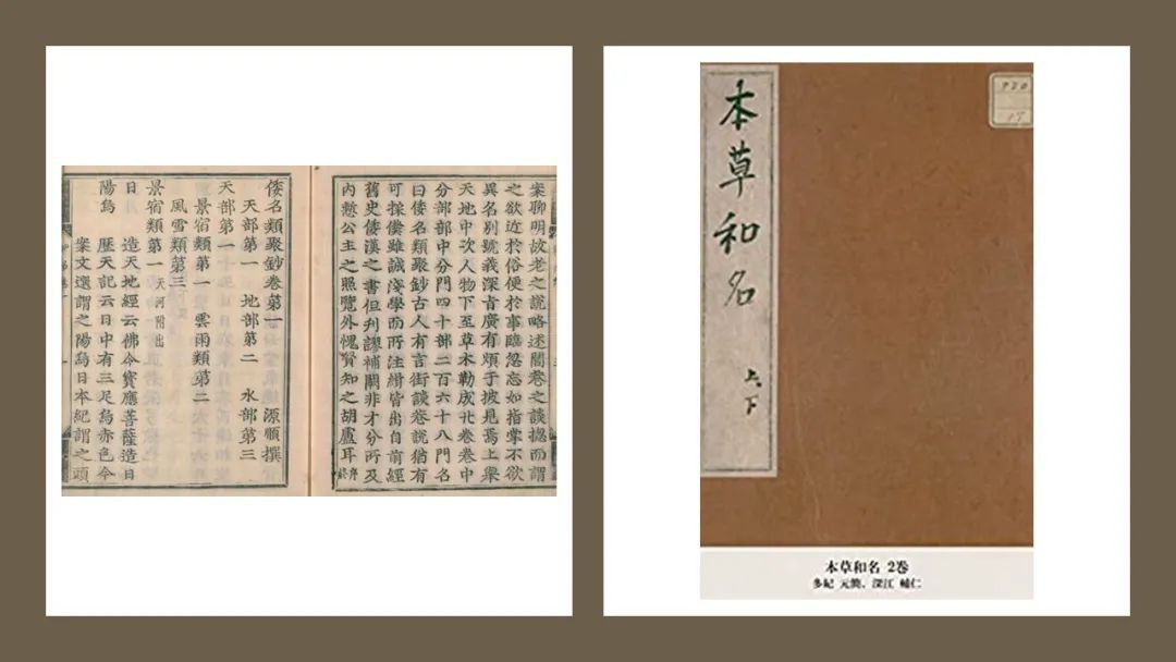 极品网红诱惑一区在线 香精与香料(147)—芥末