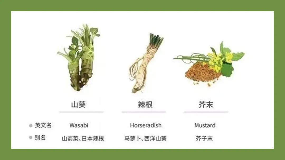 极品网红诱惑一区在线 香精与香料(147)—芥末