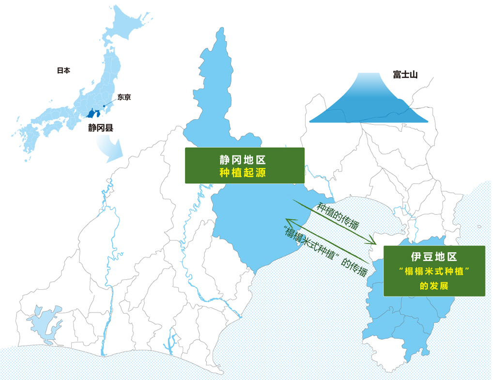 极品网红诱惑一区在线 香精与香料(148)—山葵
