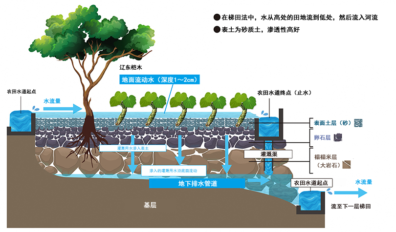 极品网红诱惑一区在线 香精与香料(148)—山葵