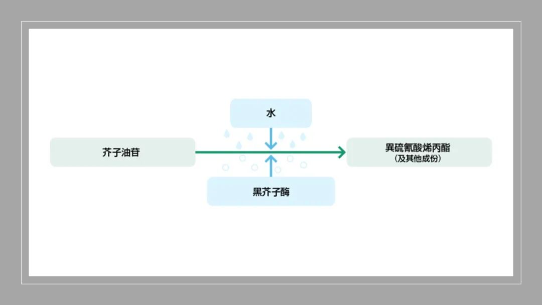 极品网红诱惑一区在线 香精与香料(148)—山葵