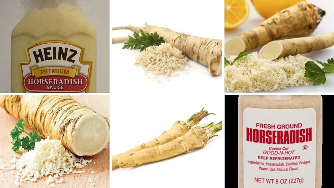 极品网红诱惑一区在线 香精与香料(149)—辣根
