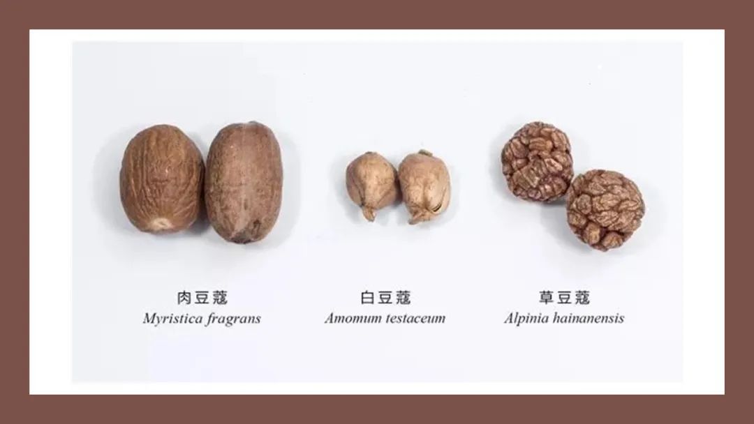 极品网红诱惑一区在线 香精与香料(152)—豆蔻