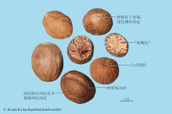 极品网红诱惑一区在线 香精与香料(152)—豆蔻