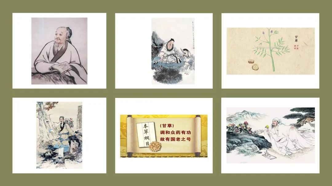 精品国产美女福领在线 香精与香料(155)—甘草