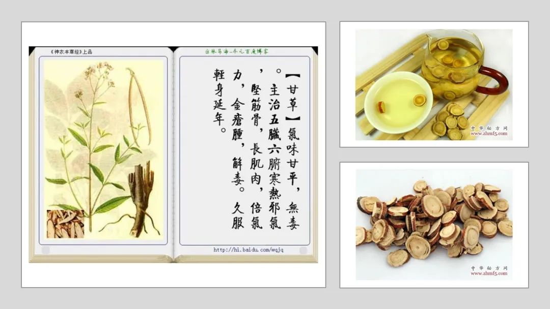 精品国产美女福领在线 香精与香料(155)—甘草