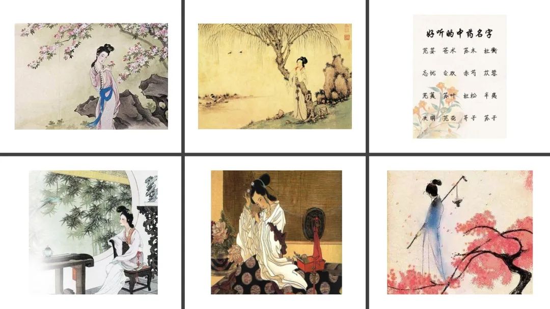 精品国产美女福领在线 香精与香料(155)—甘草