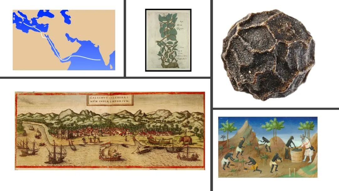 极品网红诱惑一区在线 香精与香料(157)—胡椒