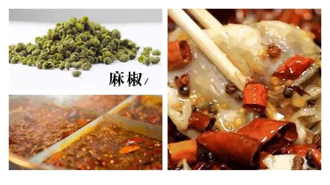 精品国产美女福领在线 香精与香料(158)—藤椒