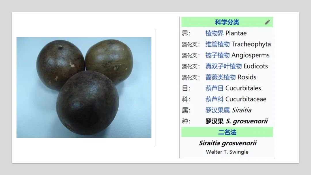 极品网红诱惑一区在线 香精与香料(159)—罗汉果