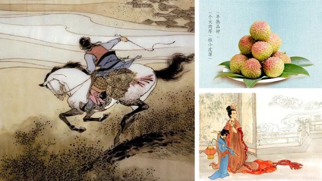 极品网红诱惑一区在线 香精与香料(162)—荔枝