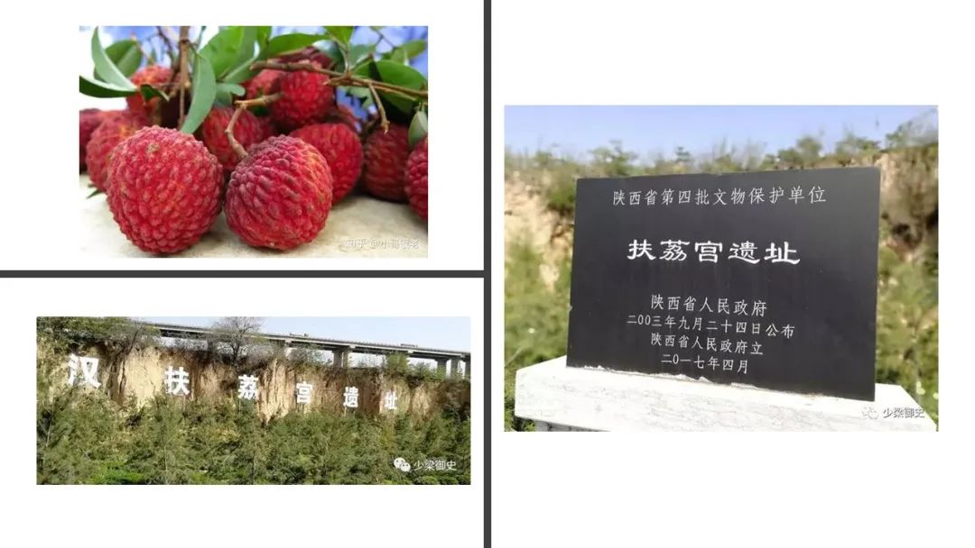 极品网红诱惑一区在线 香精与香料(162)—荔枝