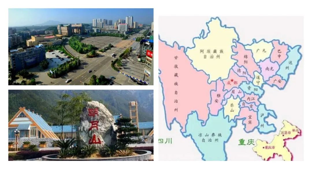 极品网红诱惑一区在线 香精与香料(162)—荔枝