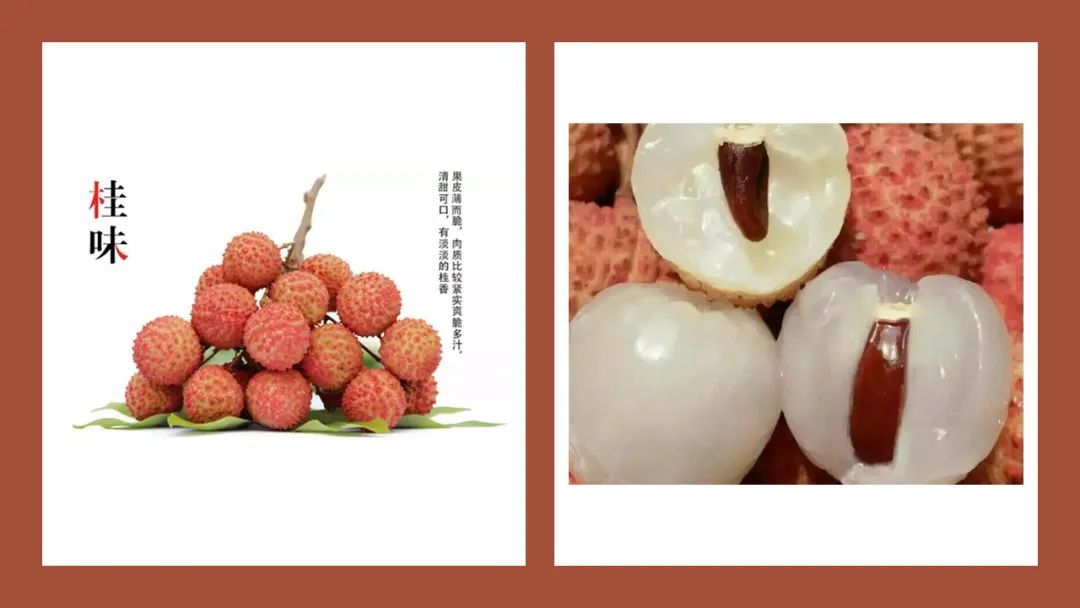 极品网红诱惑一区在线 香精与香料(162)—荔枝