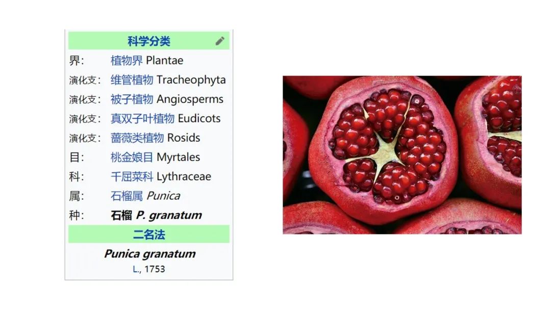 经典三级视频在线观看 香精与香料(163)—石榴