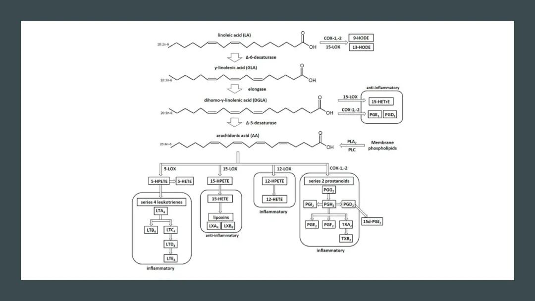 经典三级视频在线观看 香精与香料(175)—月见草