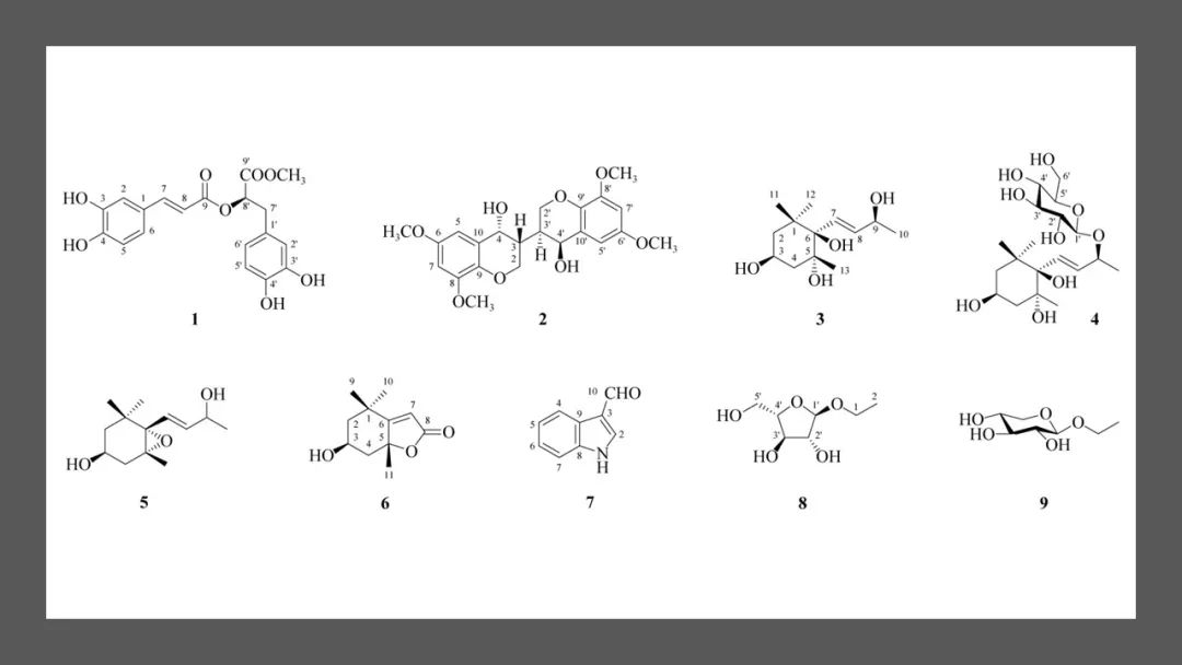 极品网红诱惑一区在线 香精与香料(177)—溪黄草