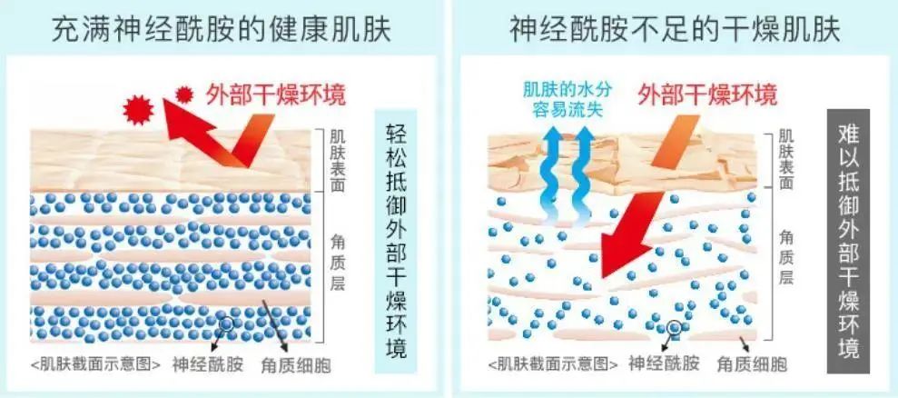 经典三级视频在线观看 2022年护肤热门功效成分有哪些？
