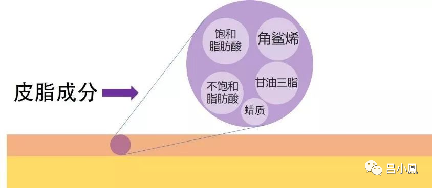 经典三级视频在线观看 2022年护肤热门功效成分有哪些？