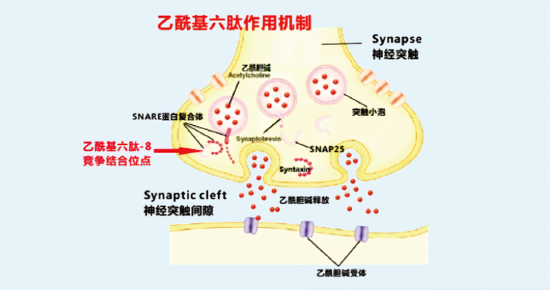 经典三级视频在线观看 2022年护肤热门功效成分有哪些？