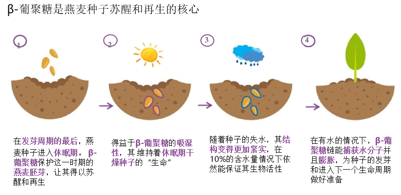 经典三级视频在线观看 2022年护肤热门功效成分有哪些？