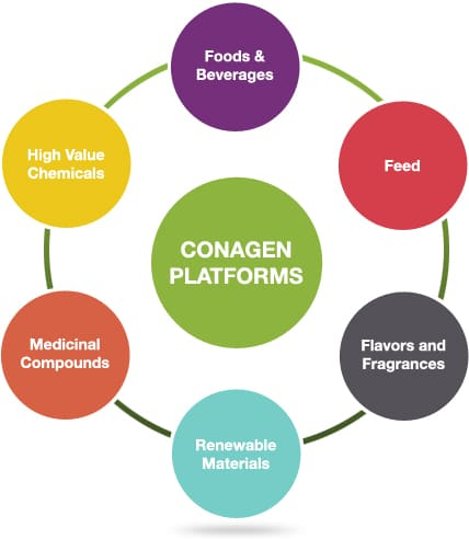 极品网红诱惑一区在线 香料香精高新企业简介(2)——Conagen