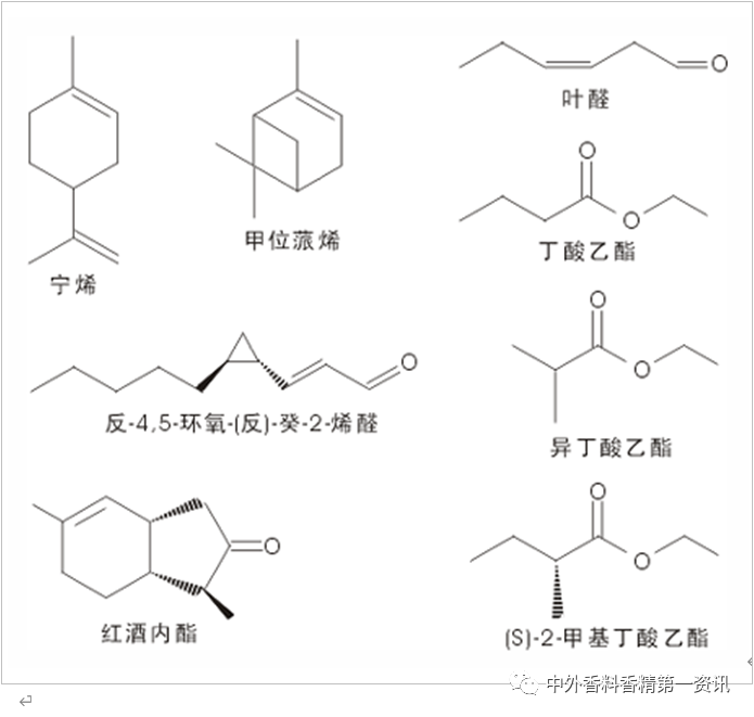 精品国产美女福领在线 柑橘类香原料最新进展