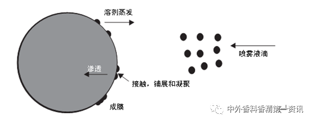 精品国产美女福领在线 香精包埋与缓释技术的研究进展