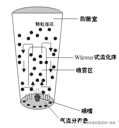 精品国产美女福领在线 香精包埋与缓释技术的研究进展