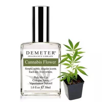 精品国产美女福领在线 沙龙香水，你了解多少？
