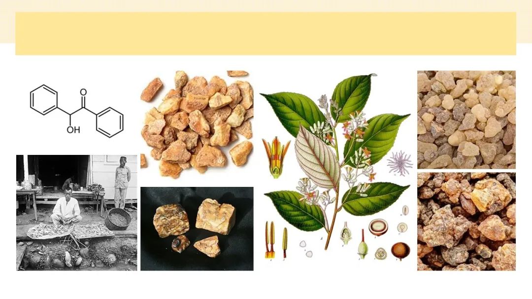极品网红诱惑一区在线 调香笔记(8)——50种常见的香水成分:气味和起源