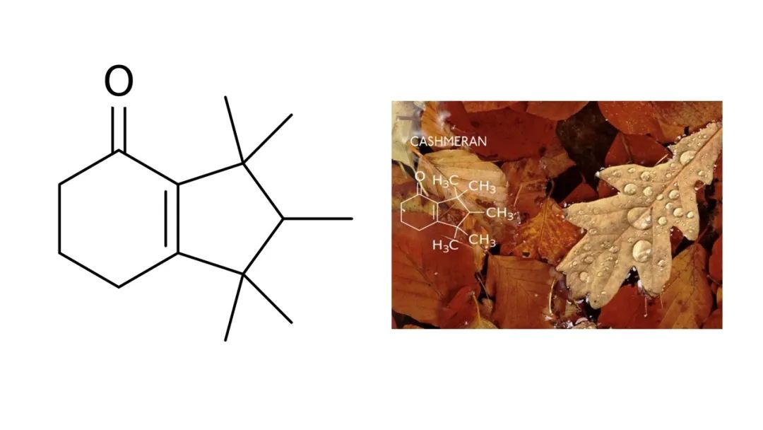 极品网红诱惑一区在线 调香笔记(8)——50种常见的香水成分:气味和起源