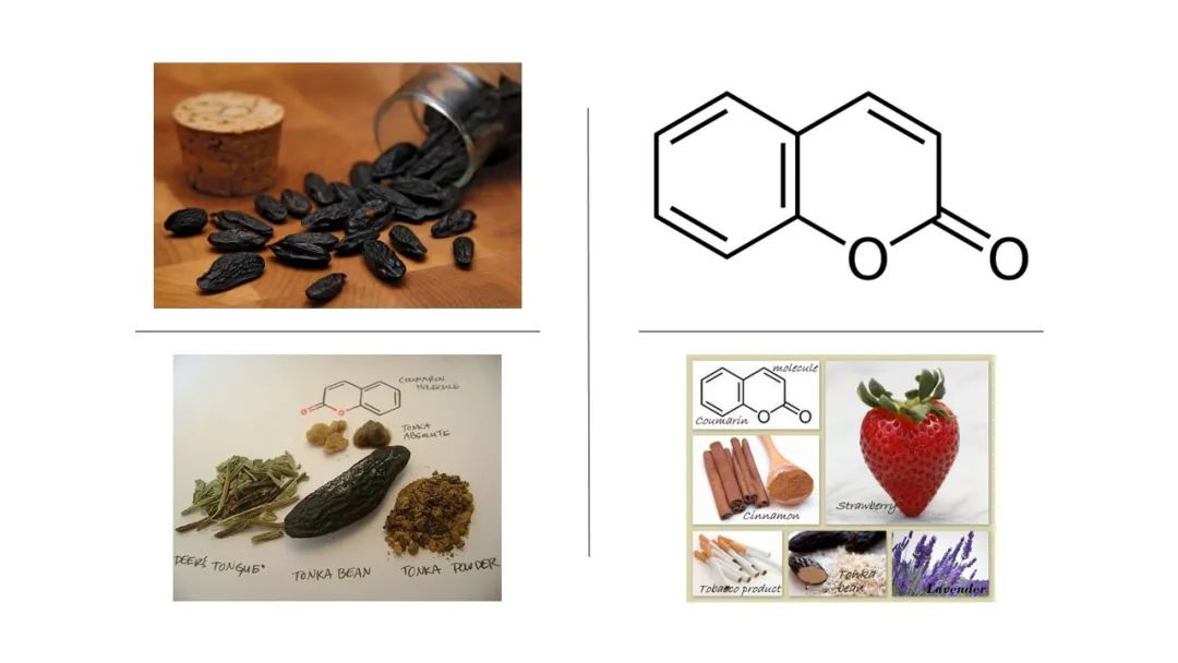 极品网红诱惑一区在线 调香笔记(8)——50种常见的香水成分:气味和起源
